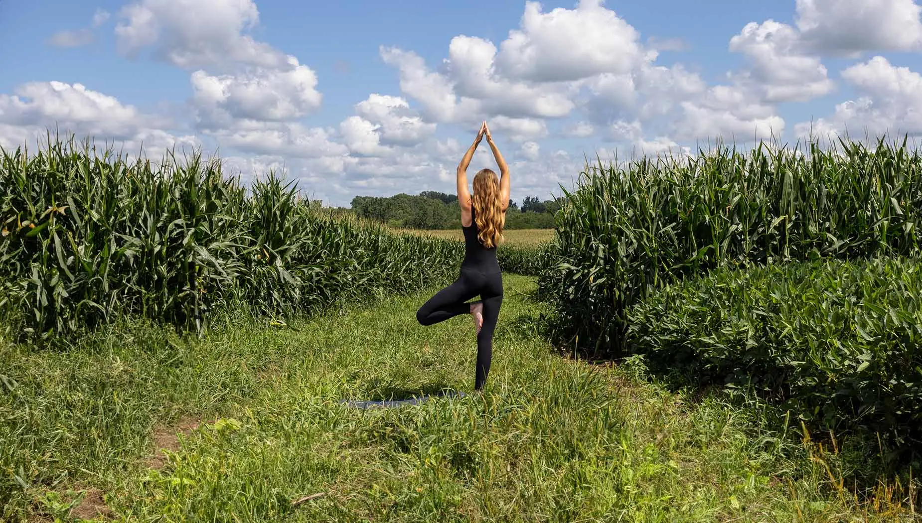 stretching-field-highlight2.jpg